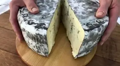 Ostar från Soldattorpets Gårdsmejeri, beläget i vackra Hyby, Skåne.