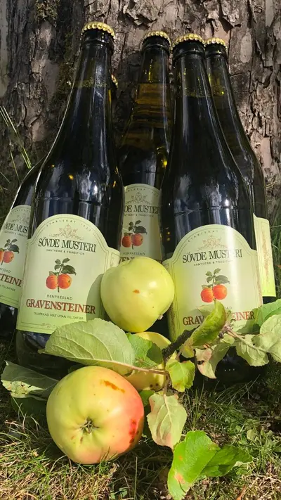 Gravensteiner, vars ursprung är osäkert, har varit känd sedan 1669.