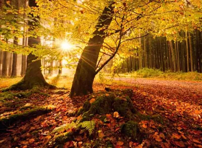 Thise Mejeri har tänkt utanför lådan och skapat en rökig härlighet.