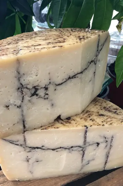 Pecorino Moliterno al Tartufo -- en lagrad tryffelpecorino i…