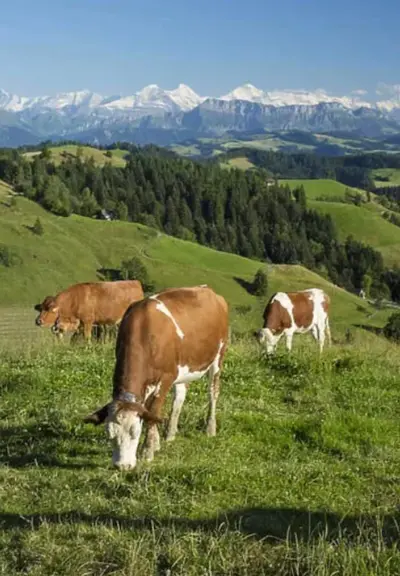 Après Soleil från Jumi.