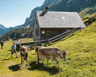 En favorit bland våra ostar är Red Devil eller Roter Teufel…