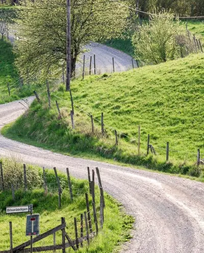 Vacherousse d'Argental är en tvättad ost från Lyontrakten i sydöstra Frankrike.