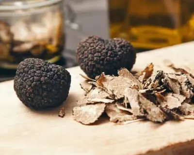 För 22 miljoner år sedan formade is och vatten Kaltbachgrottan i Schweiz.